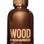 דיסקוורד2 ווד - Dsquared2 Wood - בושם לגבר - 100 מ"ל EDT (טסטר)