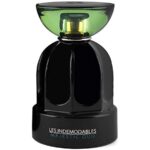 Ybrands טסטר Les Indemodables Majestic Oud - Ybrands Tester Les Indemodables Majestic Oud - בושם יוניסקס (טסטר) - 100 מל'