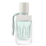 וויברנדס Tester Woman'secret Intimate Daydream - Ybrands Tester Woman'secret Intimate Daydream - בושם לאישה - 100 מל (טסטר)