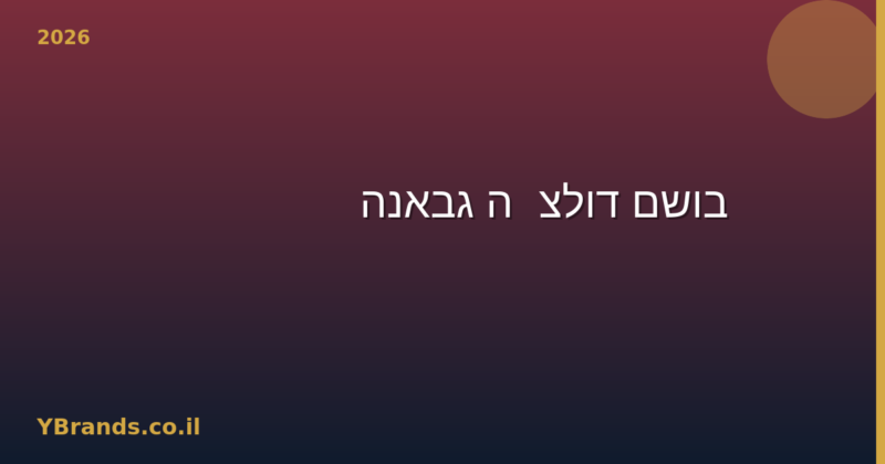 בושם דולצ'ה גבאנה (Dolce & Gabbana) – המדריך המלא למותג, הבשמים המובילים 2026 | YBrands