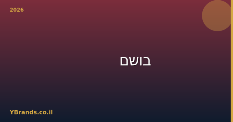 בושם DKNY (DKNY) – המדריך המלא 2026 | YBrands