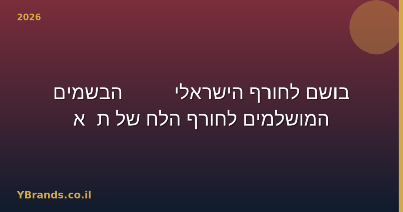 בושם לחורף הישראלי — 10 הבשמים המושלמים לחורף הלח של ת"א 2026