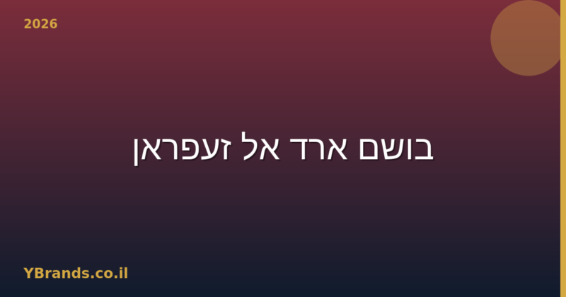 בושם ארד אל זעפראן (Ard Al Zaafaran) – המדריך המלא 2026 | YBrands
