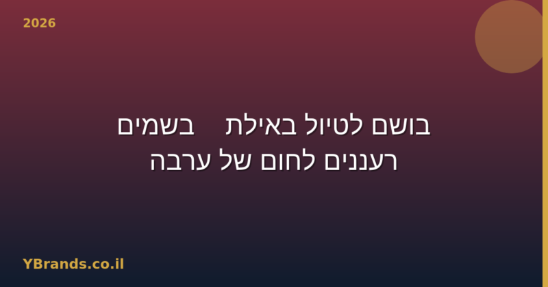 בושם לטיול באילת — בשמים רעננים לחום של ערבה (2026)