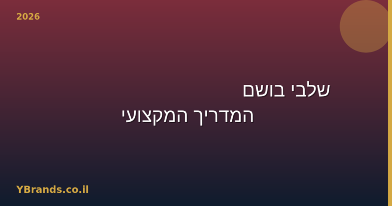 3 שלבי בושם (Top, Heart, Base) — המדריך המקצועי (2026)